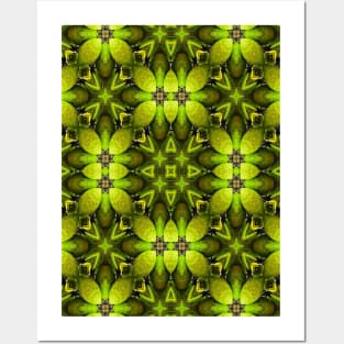 A pattern using fresh green tangerines. Posters and Art